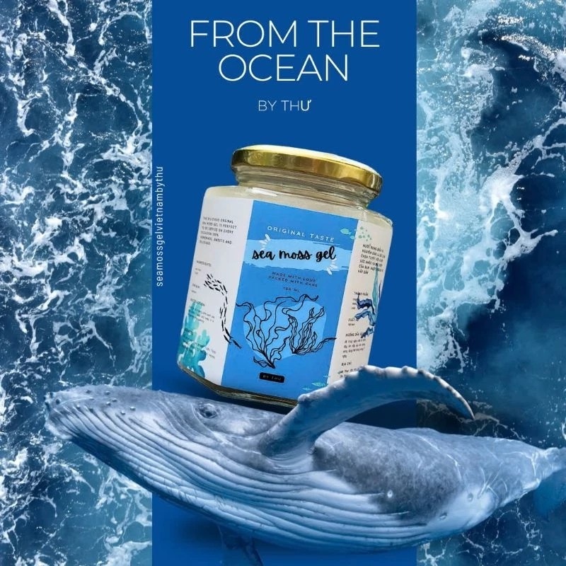 Nước rong biển vị nguyên bản/ SEA MOSS GEL ORIGINAL TASTE 500g